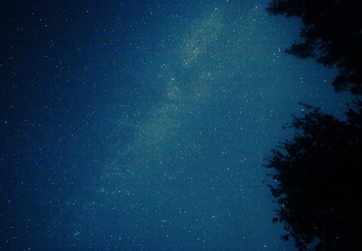 Тельцам звезды советуют прислушаться к близким, а Ракам – провести вечер в одиночестве