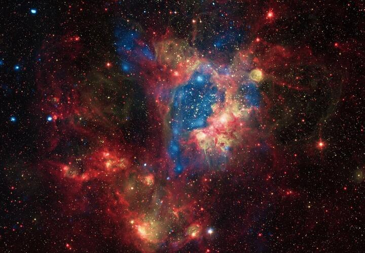 У Львов будет интересный день, а Скорпионам, чтобы избежать потерь, придется действовать быстро