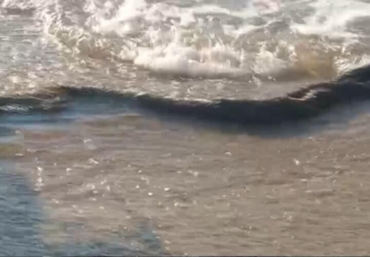 Ученый из «Сколтеха» рассказал о новом и очень быстром способе сбора мазута с черноморских пляжей