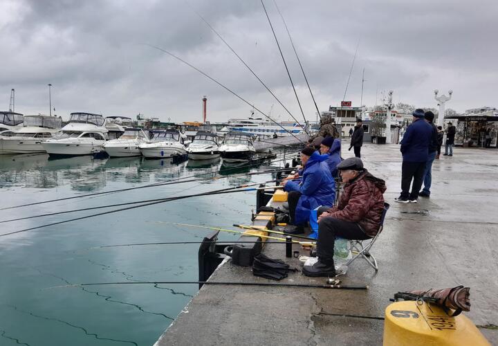 В Госдуме предложили запретить лов рыбы в Черном и Азовском морях из-за экологического бедствия
