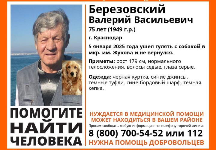 В Краснодаре дедушка ушёл гулять с собакой и не вернулся