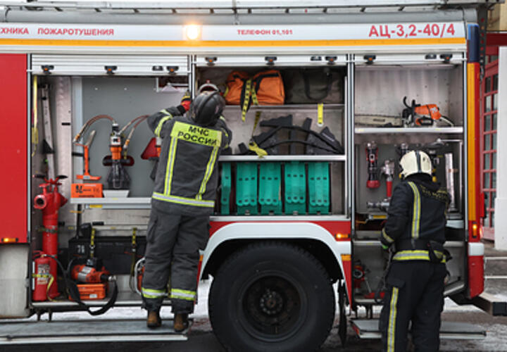 Животные пострадали в результате пожара в многоэтажке Краснодара