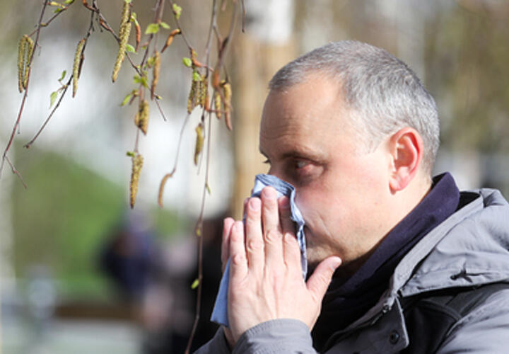 Аномально теплая зима на Кубани станет причиной раннего начала сезона аллергий