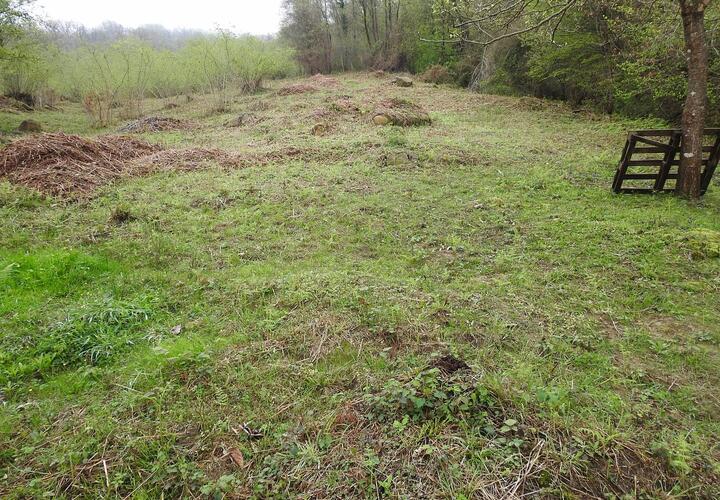 Браконьеры охотились в Сочинском нацпарке