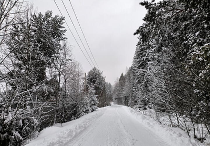 Будет до минус 19: Кубань ещё не прошла пик морозов, считает синоптик