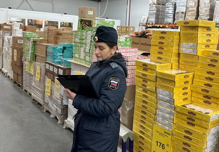 Грязь и мыши: на Кубани начали закрывать «Светофоры»