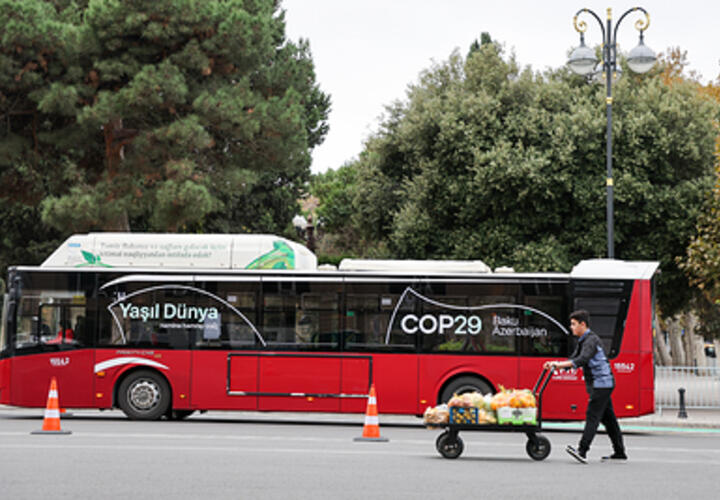 Из Краснодара в Турцию можно будет поехать на автобусе