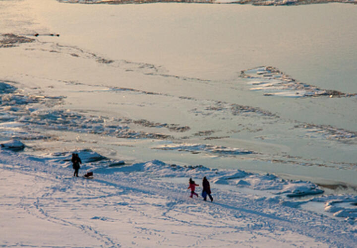 На Кубани ожидается холодный день, сообщают синоптики