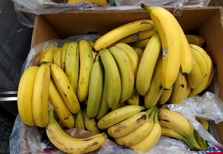 О свойствах зелёных и спелых бананов рассказали врачи