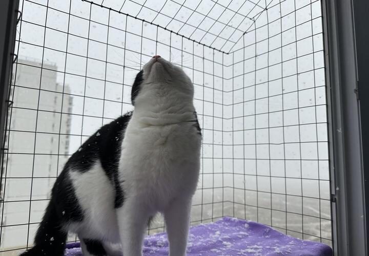 Остерегайтесь снежных заносов: о погоде на Кубани 16 февраля рассказали синоптики