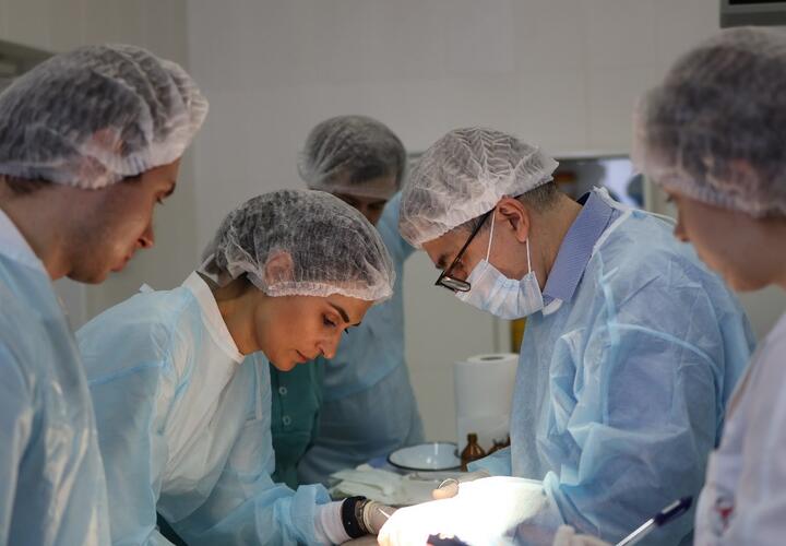 От порезов и ожогов: способ ускоренного заживления ран разработали кубанские ученые