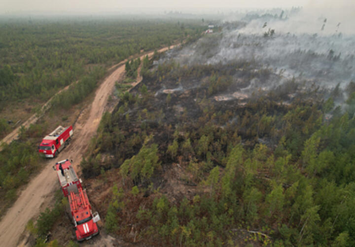 Подсчитан ущерб после большого пожара в районе курорта Дюрсо на Кубани
