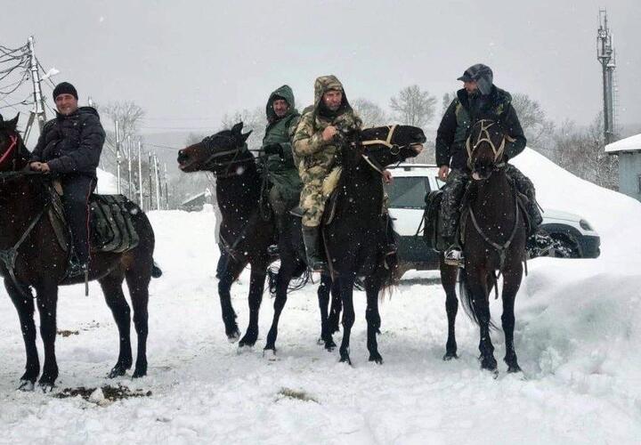 «Снега по грудь»: на Кубани хлеб в отдаленные хутора волонтеры доставляют верхом на лошадях