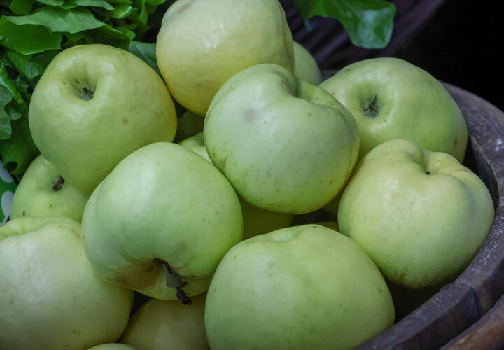 Снижает вес и избавляет от вздутия живота: о пользе яблочного сока рассказали врачи