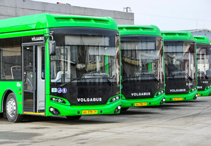 Станцию по обеззараживанию транспорта от радиации собираются создать в Новороссийске