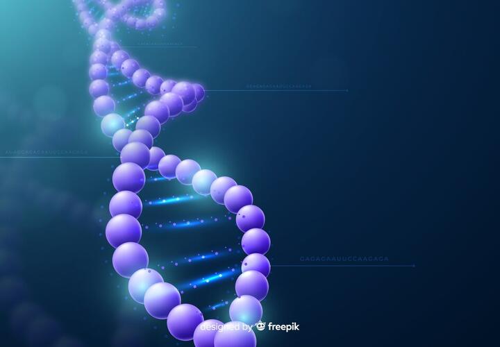 Учёные рассказали, влияют ли гены на продолжительность жизни
