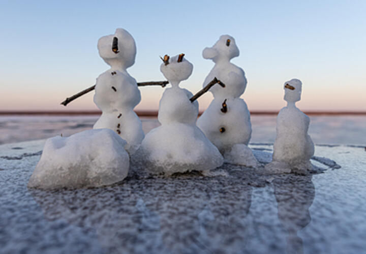 В Германии на выборах побеждает пророссийская партия, Трамп сокращает сотрудников Белого дома: что произошло, пока вы спали