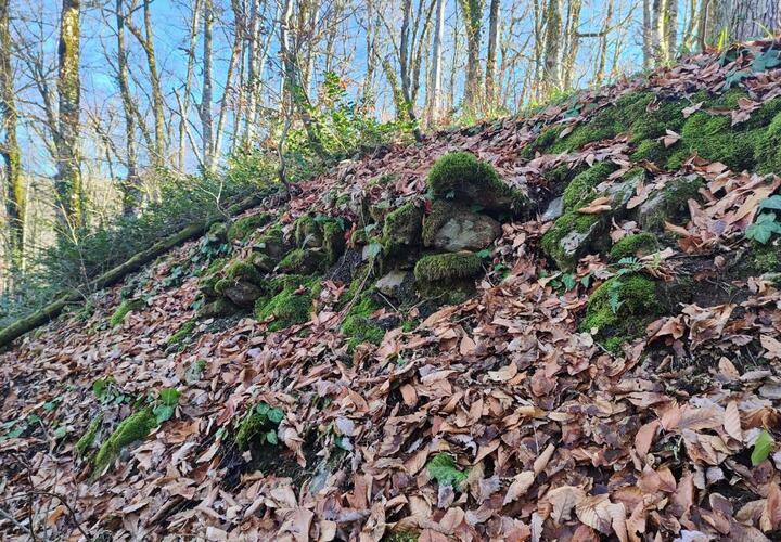 В Сочи нашли древнюю крепость