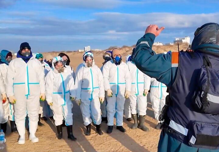 Власти Кубани объявили о ликвидации ЧС на Черноморском побережье