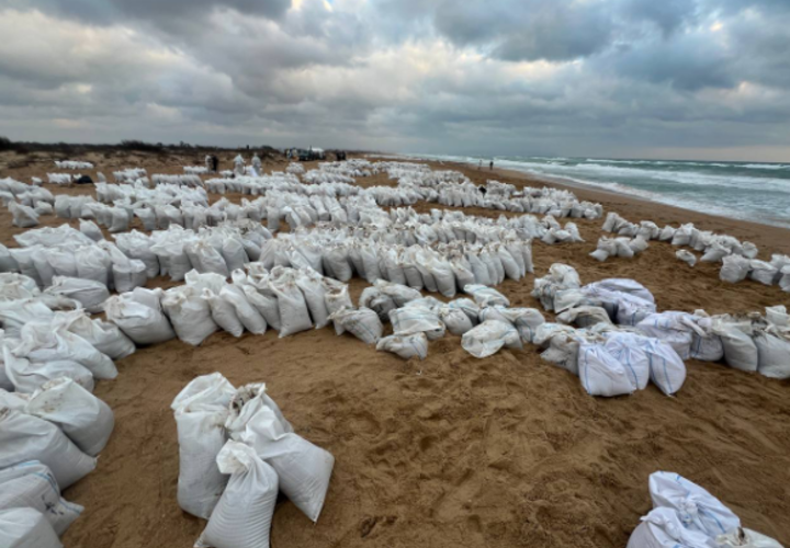 Волонтеры изменили подход к сбору мазута в Анапе