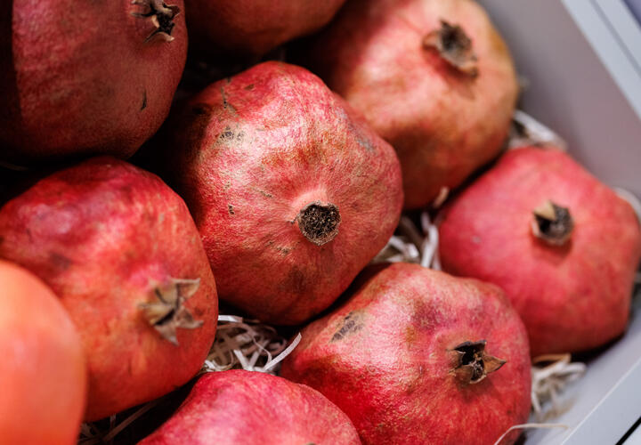 Заражённые гранаты попытались ввезти в Краснодарский край из Турции