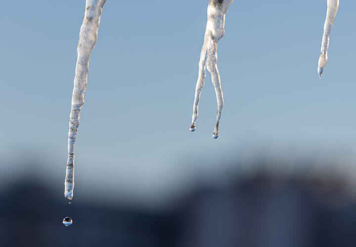 Ждать ли тепла: какая погода будет на Кубани с 24 февраля по 2 марта
