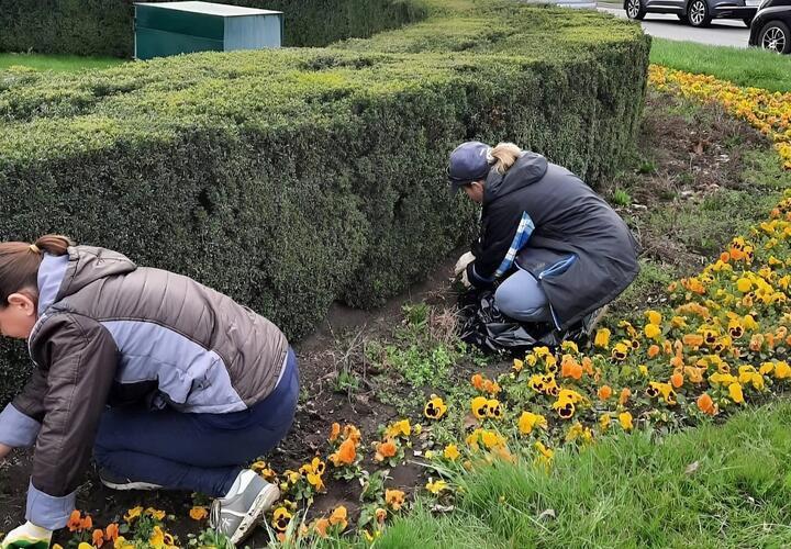 Более 200 парков и скверов Краснодара планируется привести в порядок нынешней весной