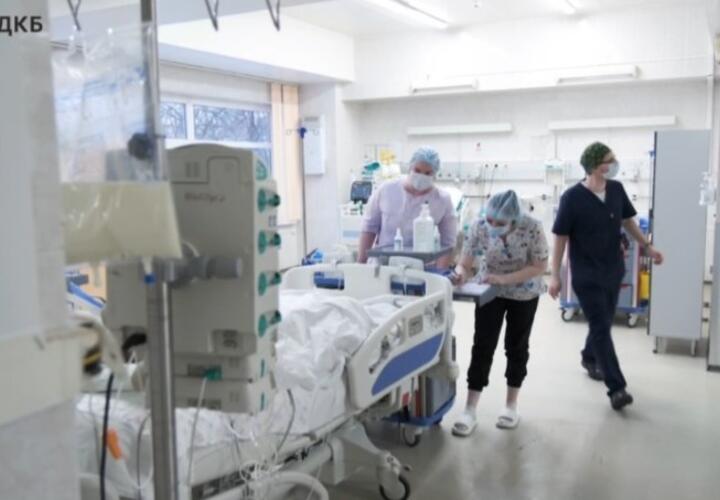 Бывшая супруга отца пострадавшего от собак в Сочи 9-летнего школьника задержана в в Белореченске