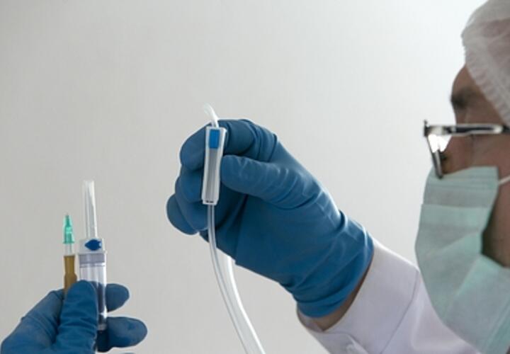 Галлюцинации и жуткие боли: российские туристы заражаются опасной лихорадкой, которую распространяют комары 