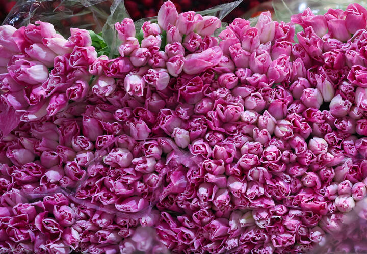 Где бесплатно посмотреть кино 8 марта в Краснодаре