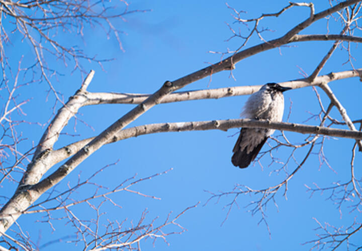 Какой будет погода на Кубани в воскресенье, 2 марта, рассказали синоптики
