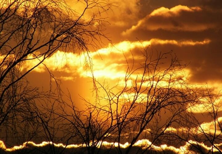 Мощная вспышка произошла на Солнце