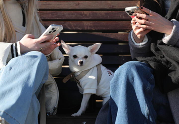 На акцию протеста вышли более 30 тысяч студентов, Германия выделила Украине новый пакет военной помощи: что произошло, пока вы спали