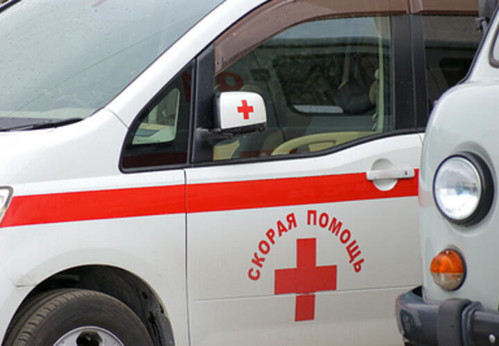 На лечение мальчика, которому собаки порвали лицо в Сочи, открыли сбор средств