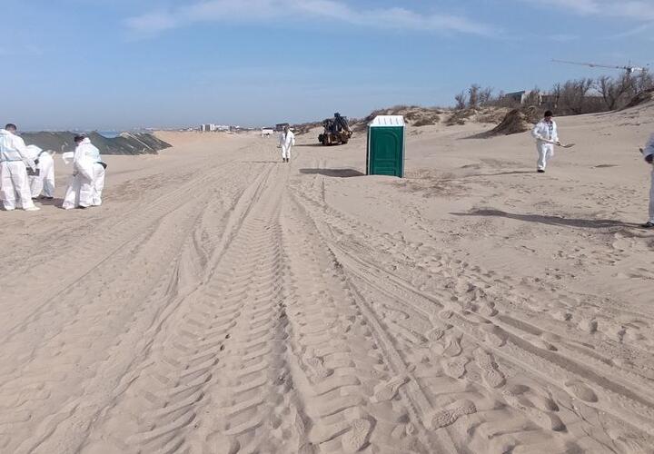 На пляжах Анапы нашли способ отмыть от мазута камни