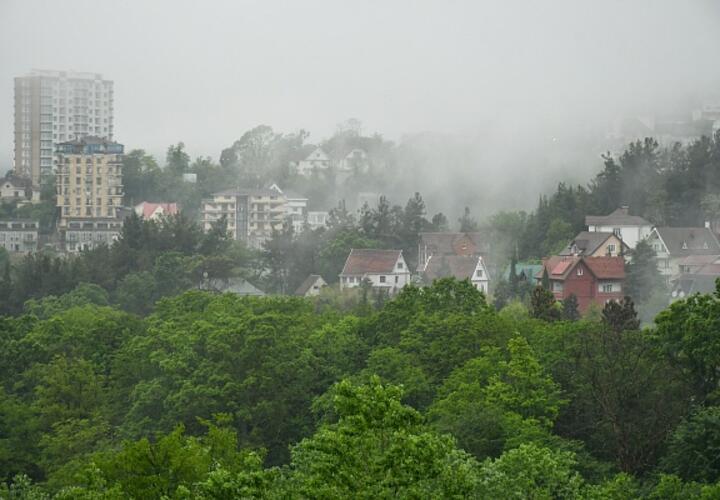 Не видно ни зги: в Сочи ожидается густой туман с видимостью около 500 метров