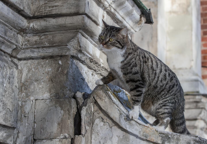 О погоде в Краснодарском крае 3 марта рассказали синоптики