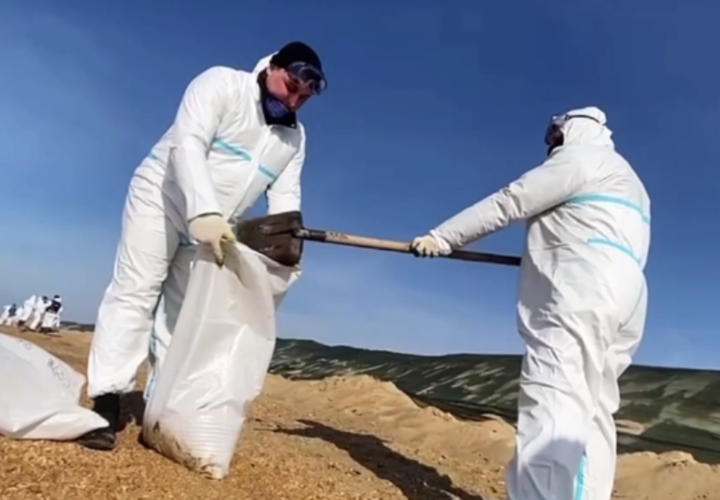 Со дна нефтепродукты достают водолазы