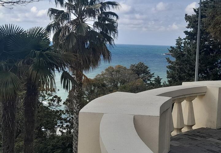 Роскошную виллу с видом на море в Сочи арестовали по уголовному делу бывшего замглавы Росприроднадзора Долматова