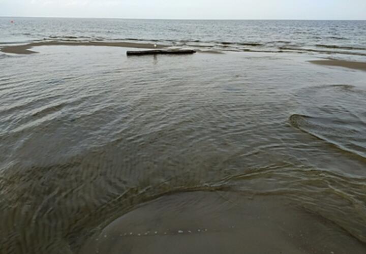 Стало известно, когда расчистят краснодарское водохранилище