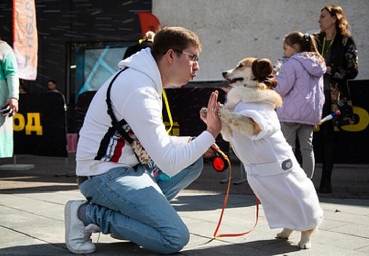 Учёные назвали главных помощников человека в увеличении продолжительности жизни
