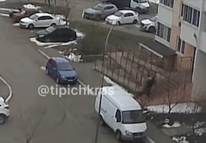 Уличные камеры засняли, как вынесли труп гастарбайтера из подъезда многоэтажки в Краснодаре
