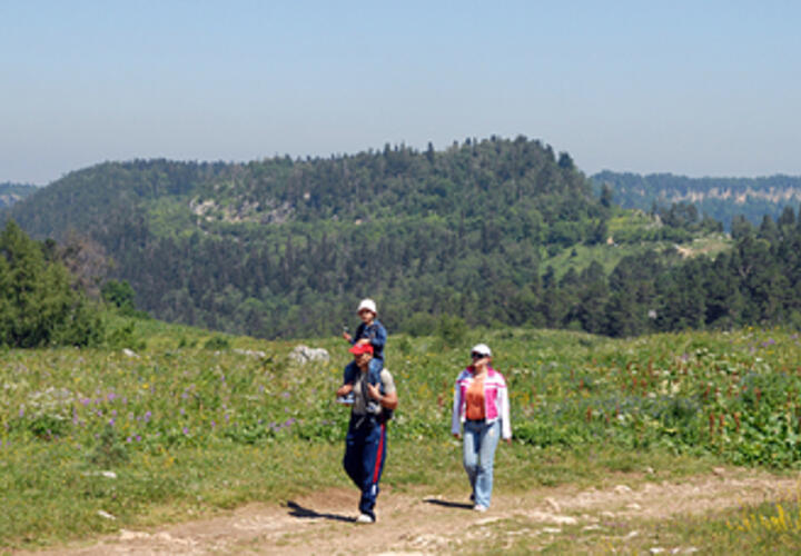 В Адыгее на альпийских лугах оборудуют экологические тропы и места стоянок для туристов