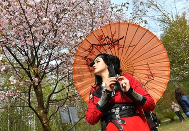 Жаркую погоду обещают синоптики к концу недели на Кубани