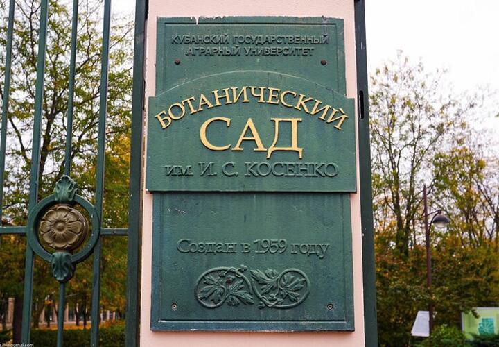 Ботанический сад в Краснодаре закроют, но временно