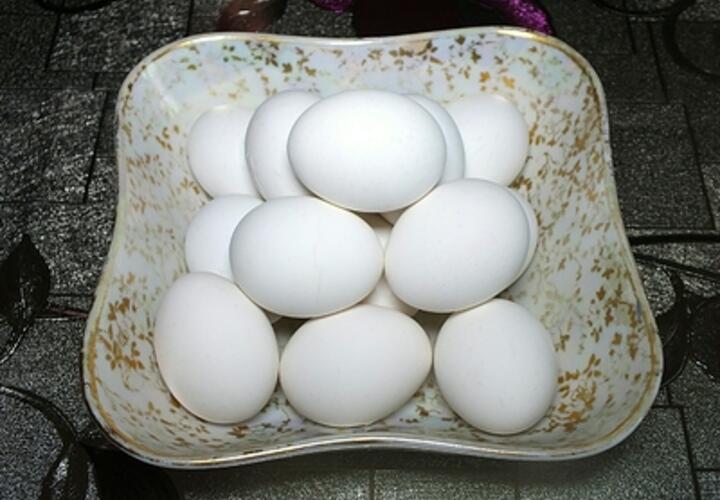 Диетолог рассказал, чем опасно злоупотребление белка в пищу