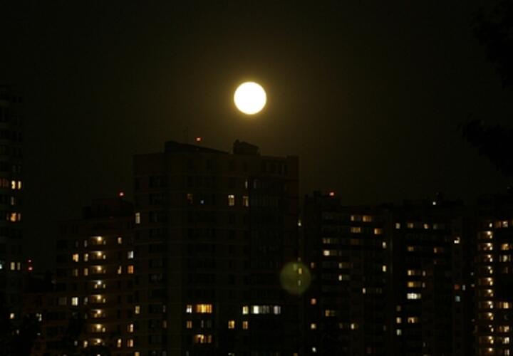 Генерала из соседнего региона прочат на должность главы полиции Кубани, Символ Японии зацвёл в парке Галицкого в Краснодаре: ТОП-5 за 4 апреля 