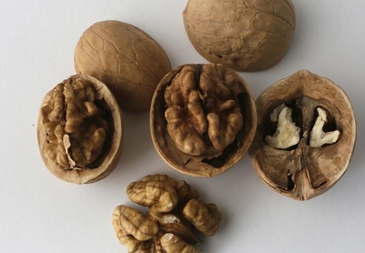 Грецкие орехи предложили переименовать
