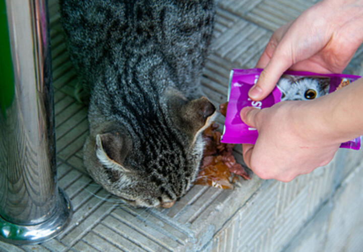 Кто добрее, богатые или бедные выяснили социологи