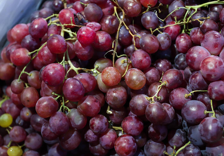 Лечит ли всё-таки красное вино: учёные удивили новым открытием